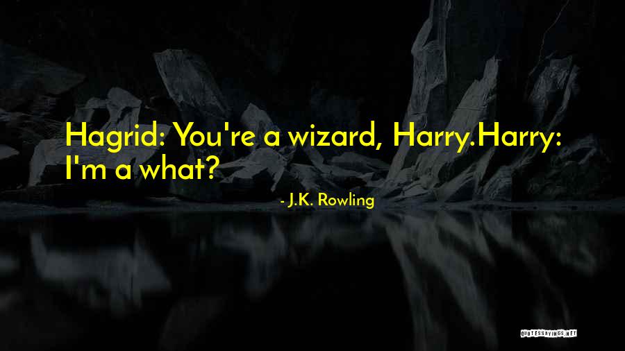 Abdala Bucaram Quotes By J.K. Rowling Abdala Bucaram Quotes By J.K. Rowling