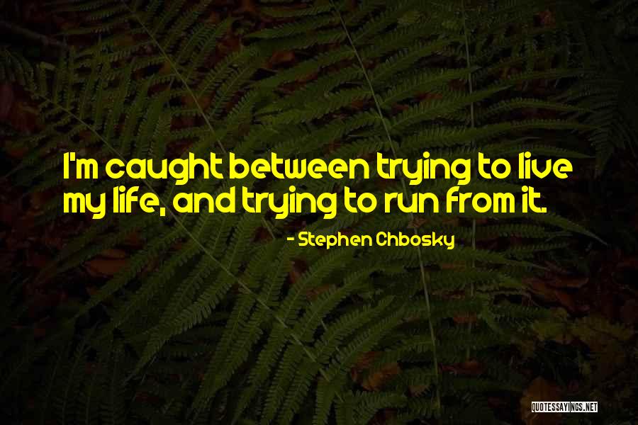 Abdallah Chocolates Quotes By Stephen Chbosky Abdallah Chocolates Quotes By Stephen Chbosky