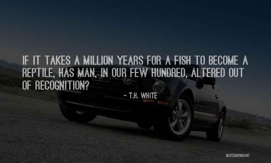 Abdallah Chocolates Quotes By T.H. White Abdallah Chocolates Quotes By T.H. White