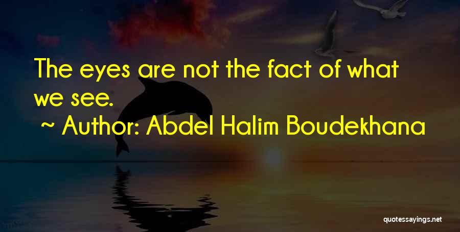 Abdel Halim Boudekhana Quotes 1736272