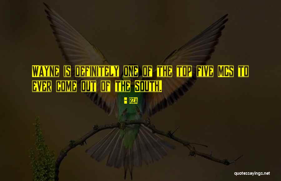 Abdel Hussein Fahmy Quotes By RZA Abdel Hussein Fahmy Quotes By RZA