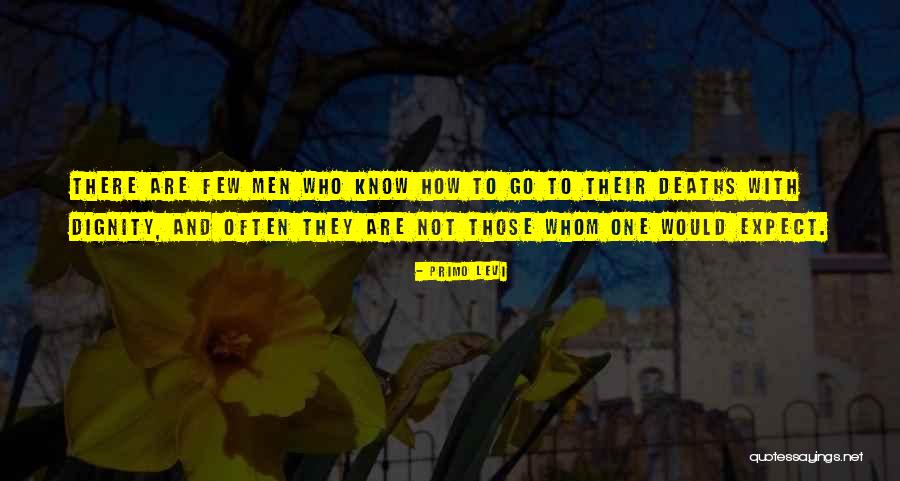 Abdellah Nursing Quotes By Primo Levi Abdellah Nursing Quotes By Primo Levi