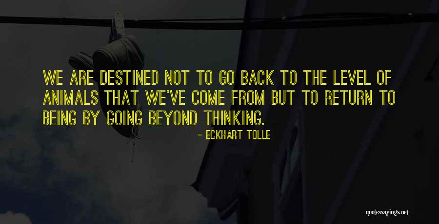 Abdelli Showtime Quotes By Eckhart Tolle Abdelli Showtime Quotes By Eckhart Tolle