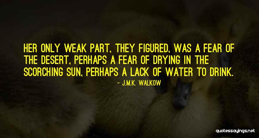 Abdessalam Elidrissi Quotes By J.M.K. Walkow