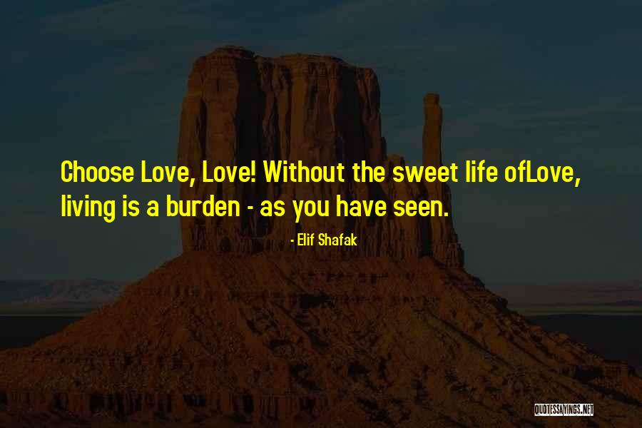 Abdessalem Saidani Quotes By Elif Shafak Abdessalem Saidani Quotes By Elif Shafak