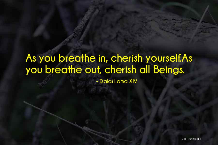 Abdillah Tausug Quotes By Dalai Lama XIV