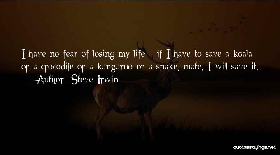 Abdirahim Idrizi Quotes By Steve Irwin