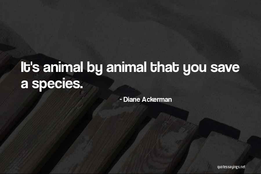 Abdolreza Ansari Quotes By Diane Ackerman Abdolreza Ansari Quotes By Diane Ackerman