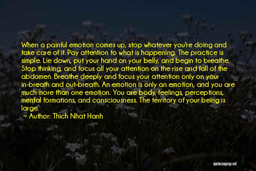 Abdomen Quotes By Thich Nhat Hanh