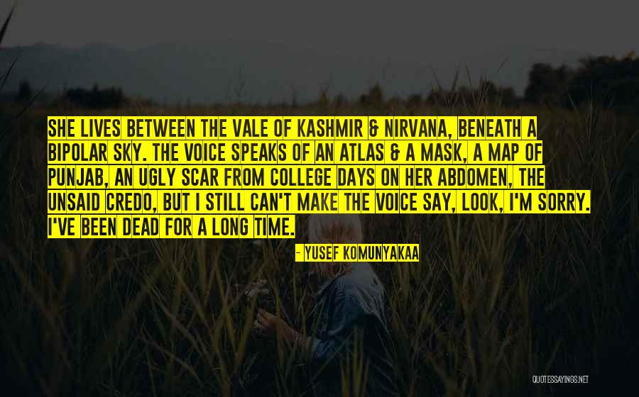 Abdomen Quotes By Yusef Komunyakaa Abdomen Quotes By Yusef Komunyakaa