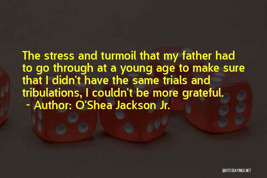 Abdone Quotes By O'Shea Jackson Jr.