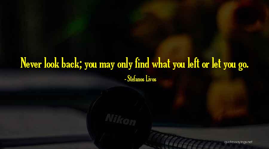 Abdul Hakim Shabazz Quotes By Stefanos Livos