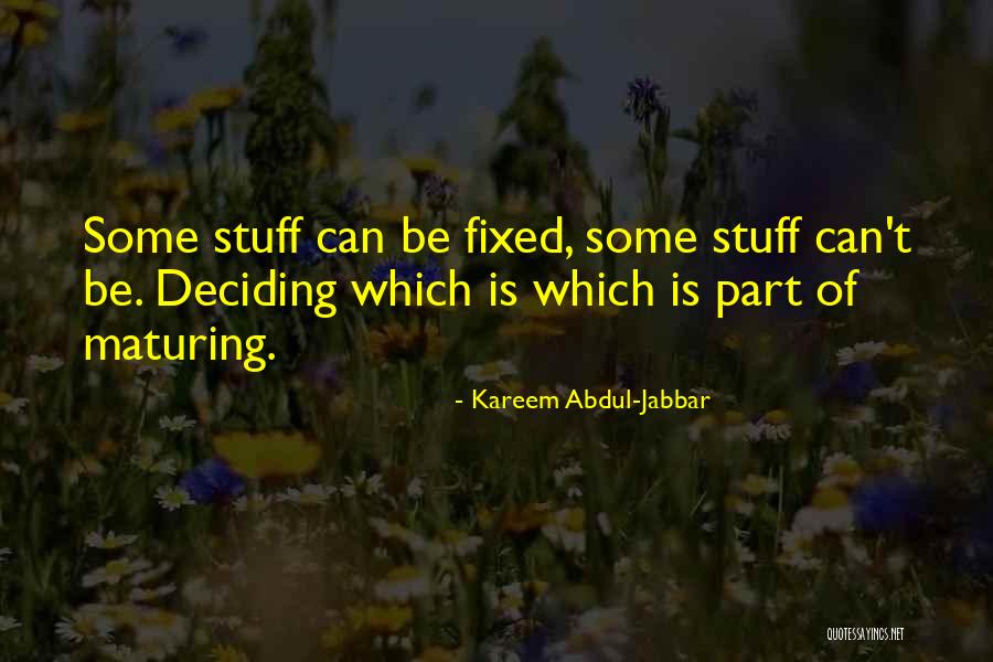 Abdul Jabbar Quotes By Kareem Abdul-Jabbar