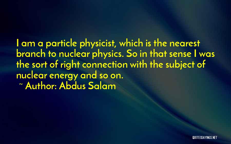 Abdus Salam Quotes 2195492