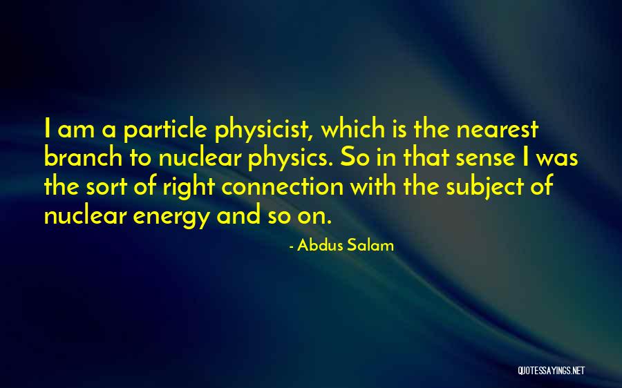 Abdus Salam Quotes 2195492