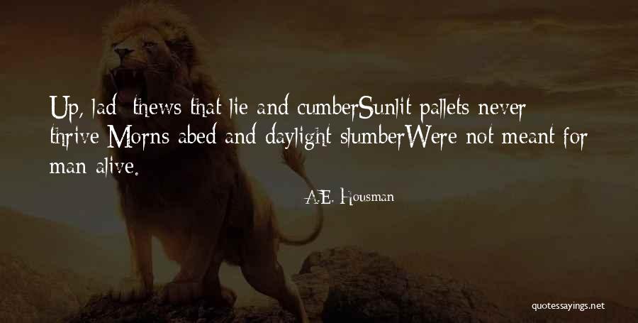 Abed Quotes By A.E. Housman