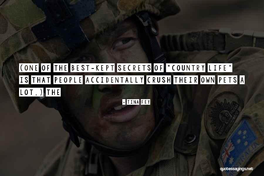 Aberfan Wales Quotes By Tina Fey Aberfan Wales Quotes By Tina Fey