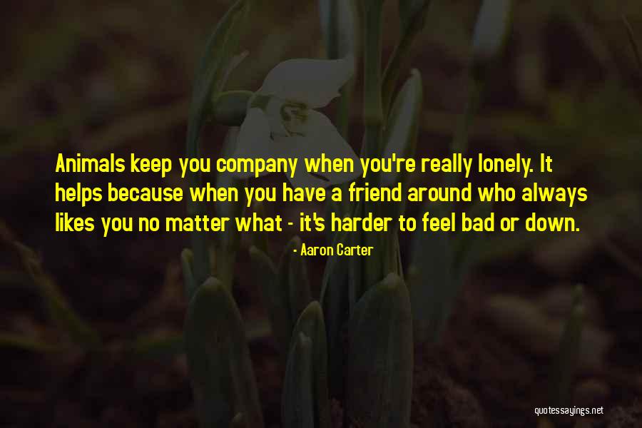 Abet Quotes By Aaron Carter Abet Quotes By Aaron Carter