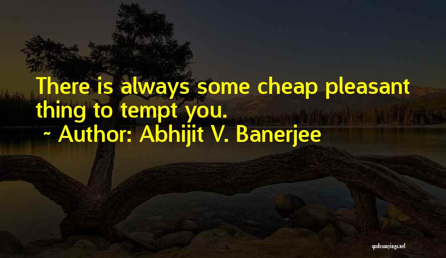 Abhijit V. Banerjee Quotes 787117