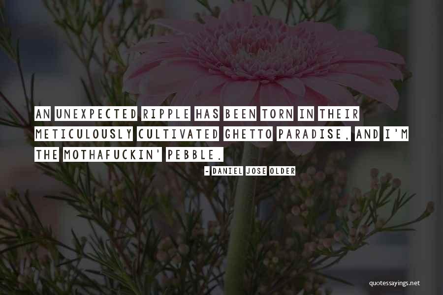 Abhinavsr Quotes By Daniel Jose Older