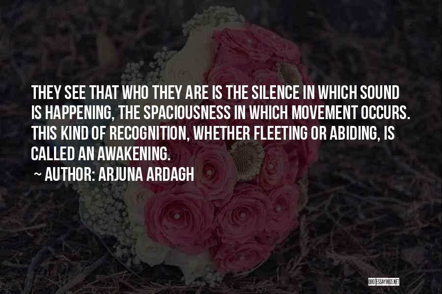 Abiding Quotes By Arjuna Ardagh