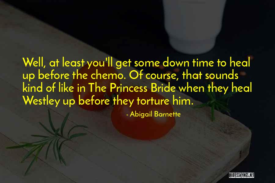 Abigail Barnette Quotes 1820967