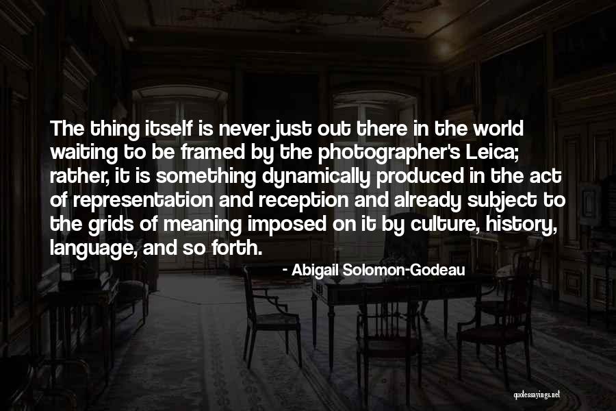 Abigail Solomon-Godeau Quotes 367011