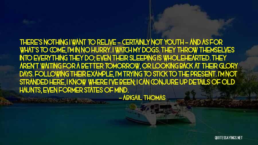 Abigail Thomas Quotes 1457036