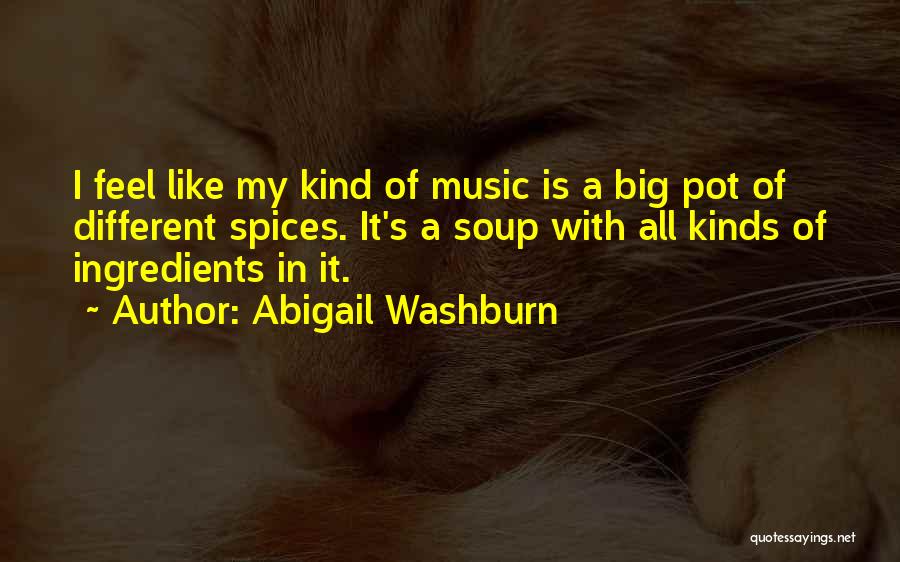 Abigail Washburn Quotes 1407681