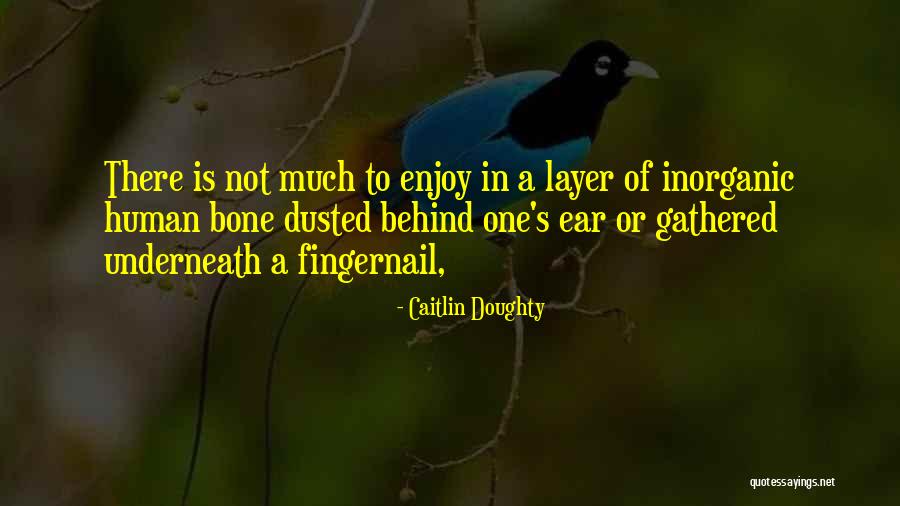 Abigayles Bed Quotes By Caitlin Doughty Abigayles Bed Quotes By Caitlin Doughty