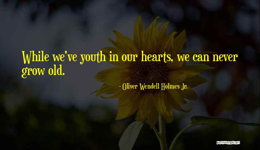 Abin Quotes By Oliver Wendell Holmes Jr. Abin Quotes By Oliver Wendell Holmes Jr.