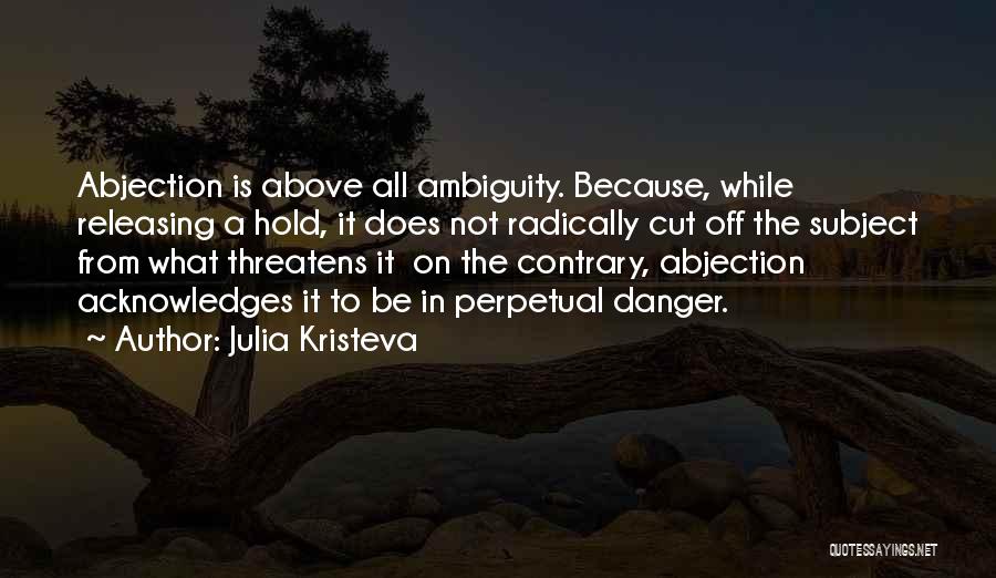 Abjection Quotes By Julia Kristeva