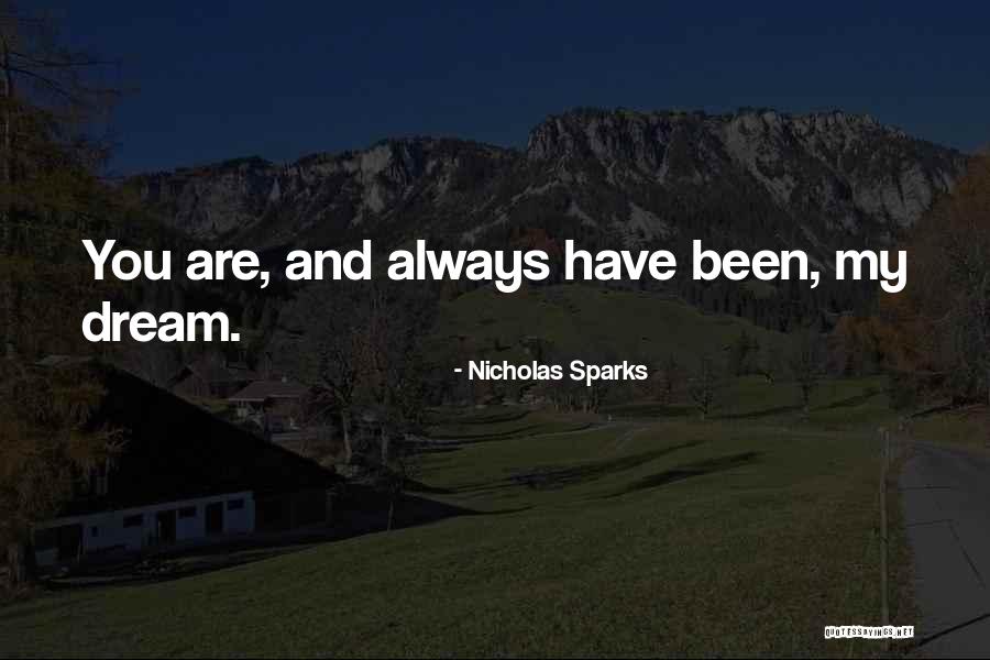 Ablazing Care Quotes By Nicholas Sparks