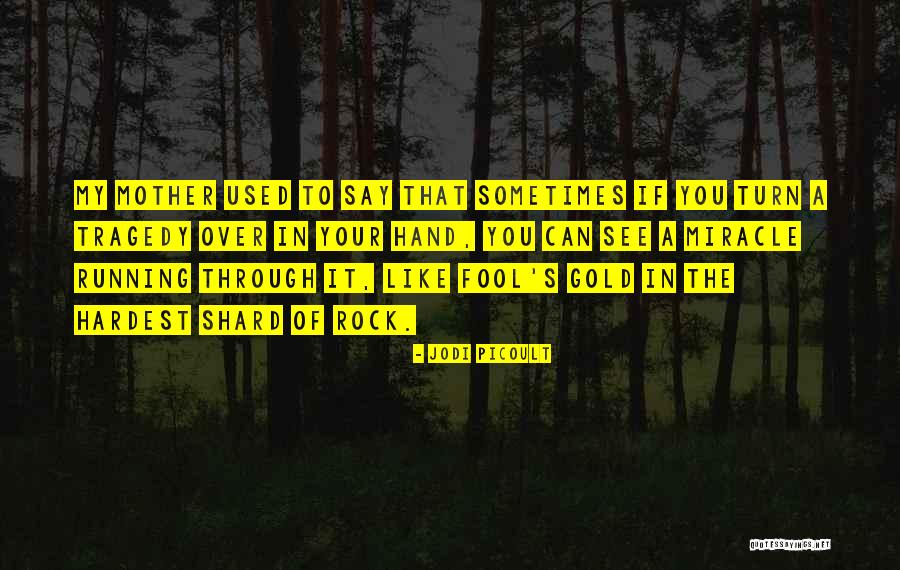 Abluck Quotes By Jodi Picoult Abluck Quotes By Jodi Picoult