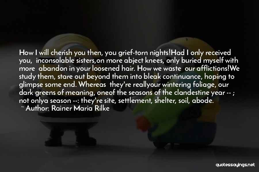 Abode Quotes By Rainer Maria Rilke