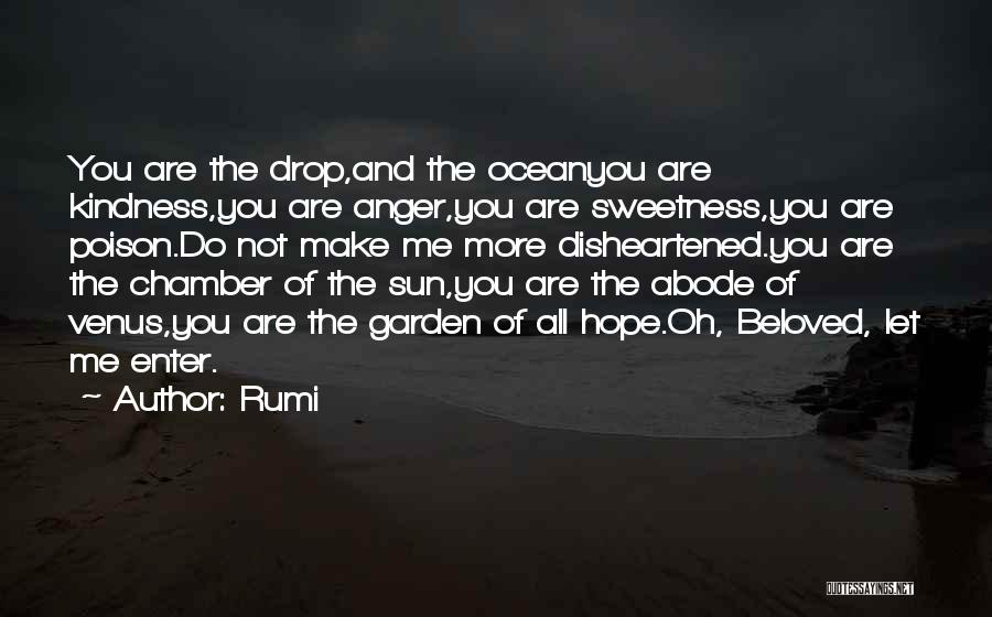 Abode Quotes By Rumi