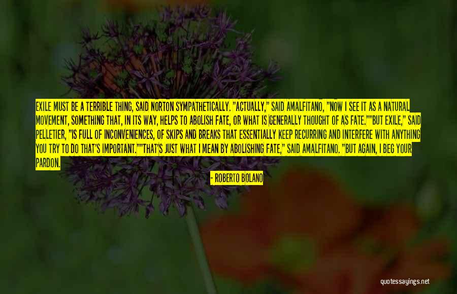 Abolishing Quotes By Roberto Bolano Abolishing Quotes By Roberto Bolano