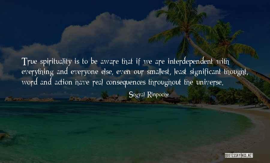 Abolitionism Quizlet Quotes By Sogyal Rinpoche Abolitionism Quizlet Quotes By Sogyal Rinpoche