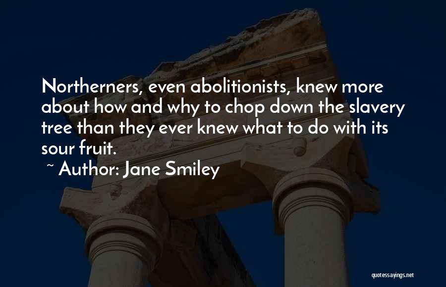 Abolitionists Quotes By Jane Smiley