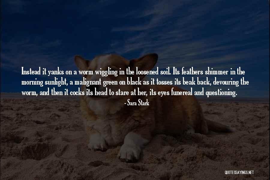 Abominable Snowman Rudolph Quotes By Sara Stark Abominable Snowman Rudolph Quotes By Sara Stark
