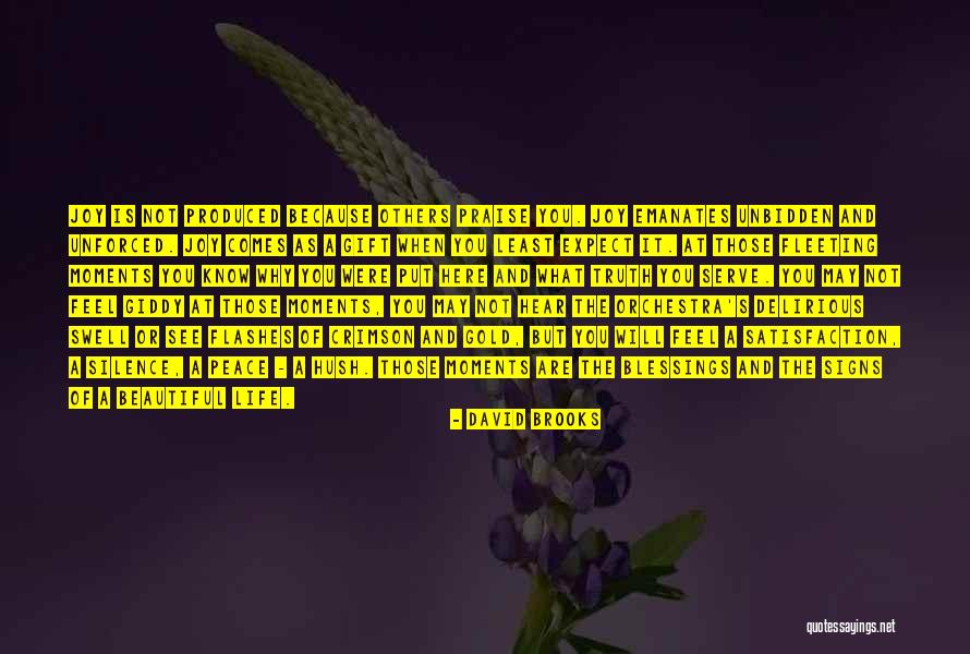 Abonar Sinonimo Quotes By David Brooks Abonar Sinonimo Quotes By David Brooks