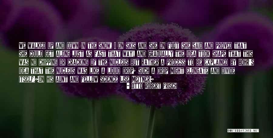 Abondance Cheese Quotes By Otto Robert Frisch Abondance Cheese Quotes By Otto Robert Frisch