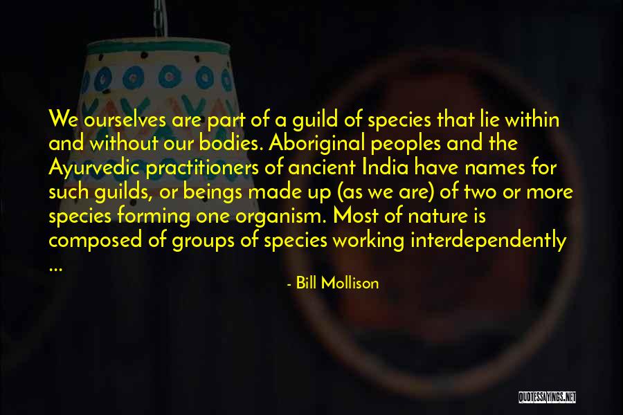 Aboriginal Peoples Quotes By Bill Mollison Aboriginal Peoples Quotes By Bill Mollison