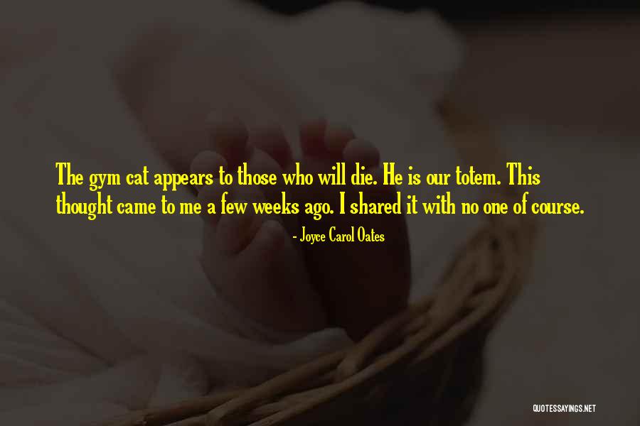 Aborsion Quotes By Joyce Carol Oates Aborsion Quotes By Joyce Carol Oates