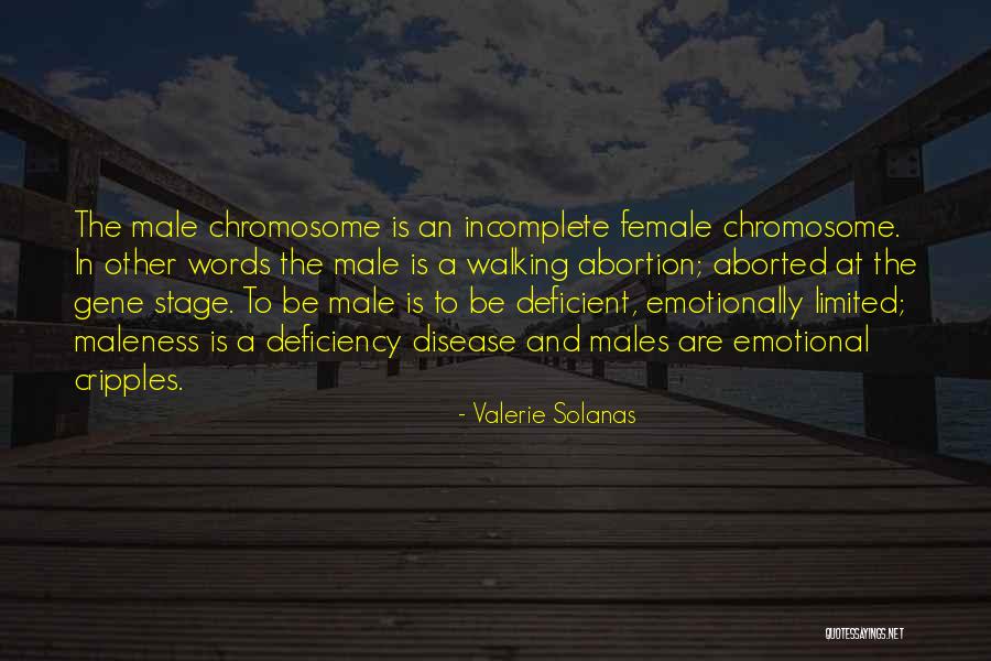 Aborted Quotes By Valerie Solanas