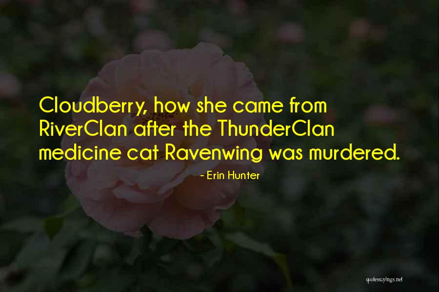 Abortion In The Handmaids Tale Quotes By Erin Hunter Abortion In The Handmaids Tale Quotes By Erin Hunter