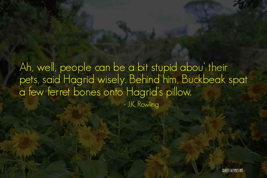 Abou Quotes By J.K. Rowling Abou Quotes By J.K. Rowling
