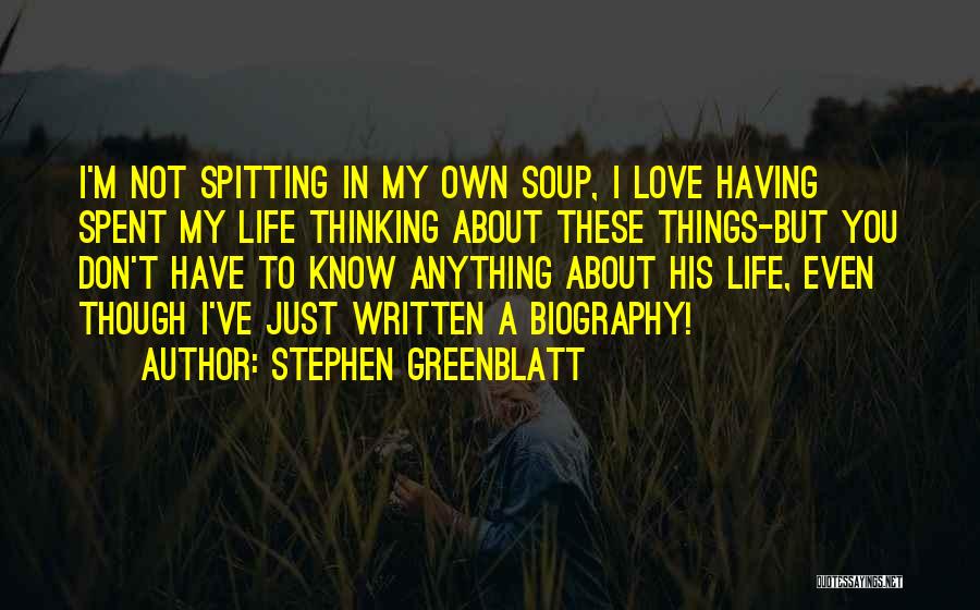 About Anything Quotes By Stephen Greenblatt