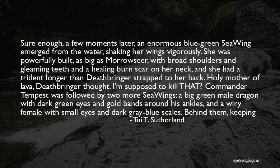 About Blue Eyes Quotes By Tui T. Sutherland