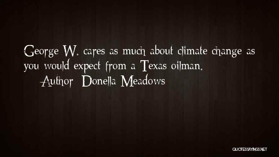 About Climate Change Quotes By Donella Meadows